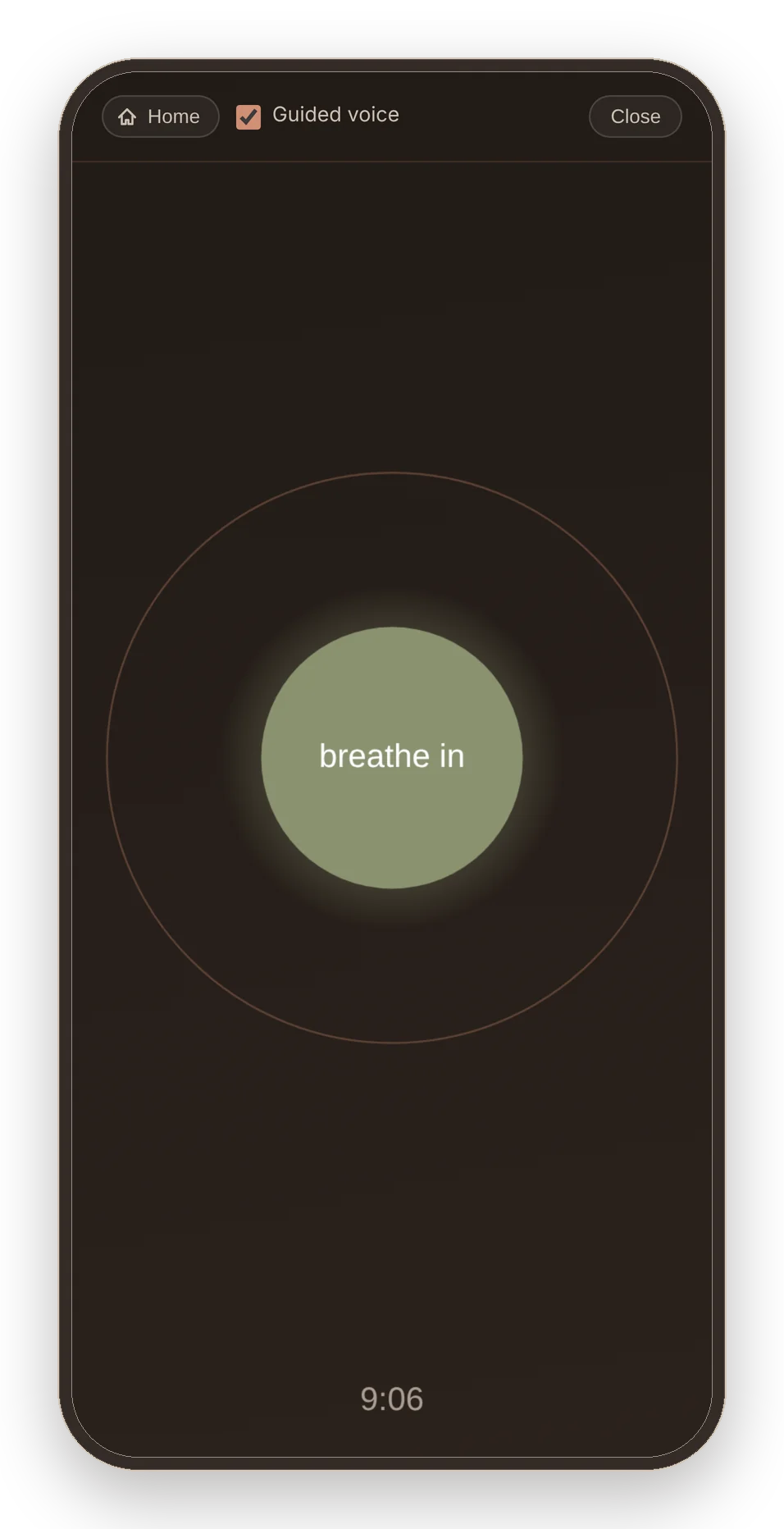 The Slow breathing routine in full screen: a sage circle with the words breathe in, inside a thin ring on a dark warm ground, with 9:06 remaining